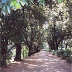 Villabarbaiano0007