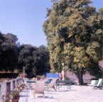Villabarbaiano0016